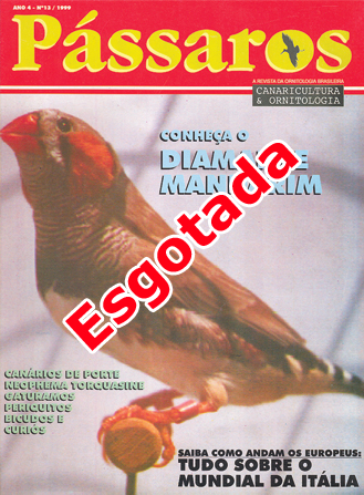 Revista 13