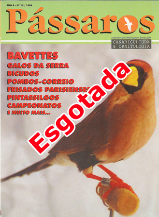 Revista 15