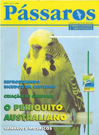 Revista 21