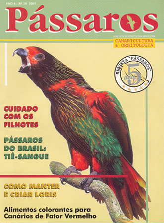 Revista 28