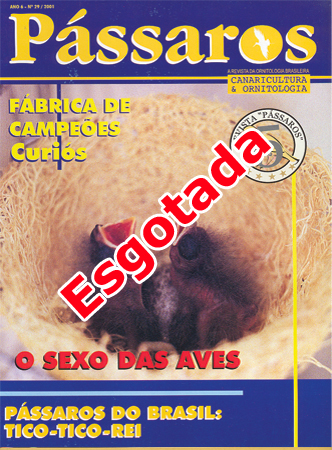 Revista 29