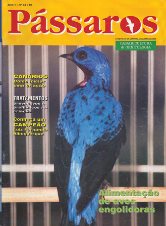 Revista 4