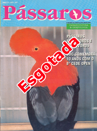 Revista 5