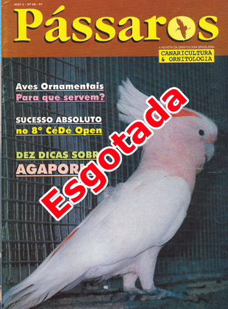 Revista 6